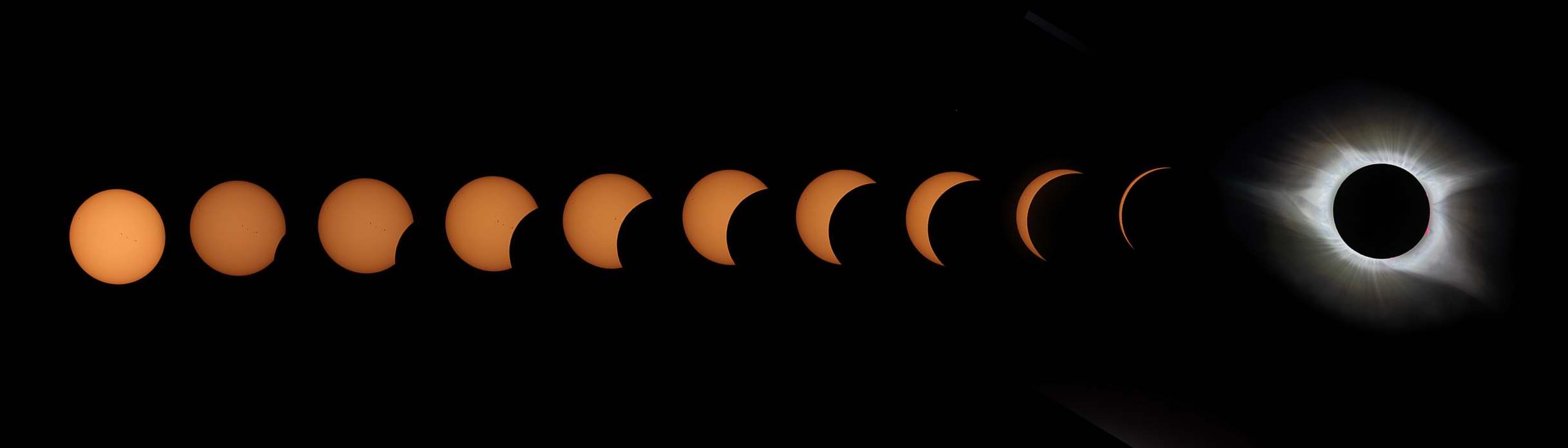 2017 Total Solar Eclipse Collage by Paul Borchardt - MAS image