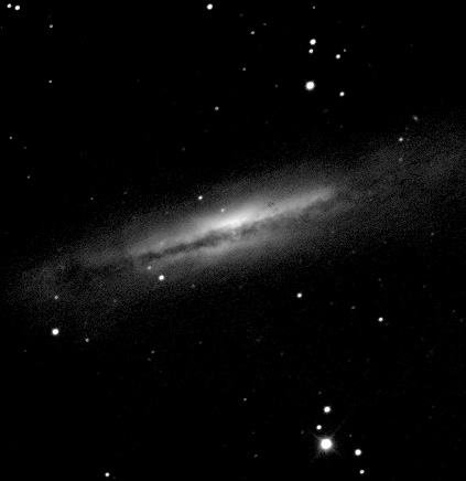 NGC 3628 by Paul Borchardt 