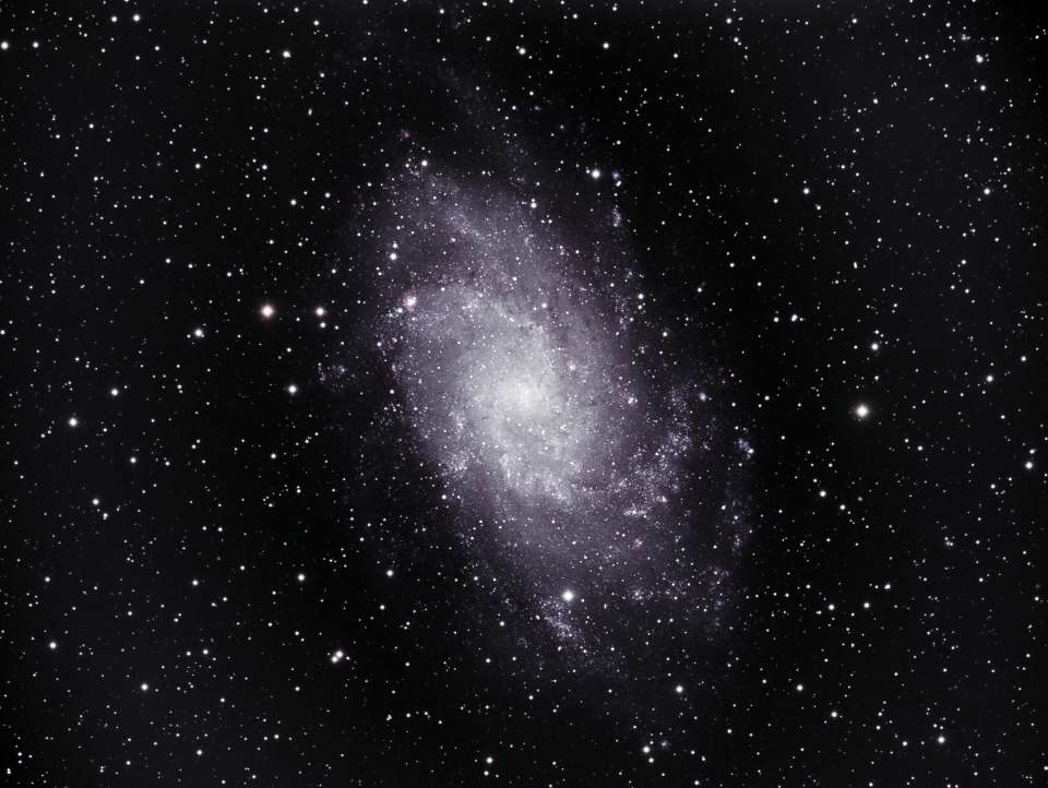 M33 - The Triangulum Galaxy by Dennis Roscoe 