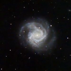 M 61, 28-March-2024 by Ron Lundren 