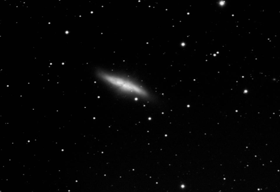 M82 Before Supernova  by Dennis Roscoe 