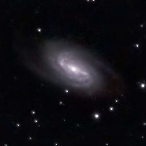 NGC 2903 via evscope 2 by Matthew Ryno 