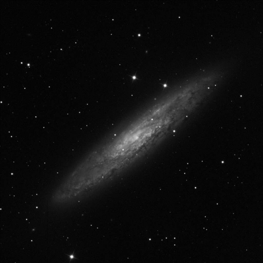 NGC 253 by Frank Kenney 