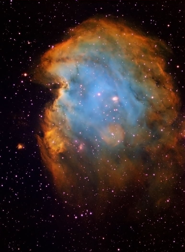 NGC2174 - Monkey Head Nebula by Steve Wiencek 