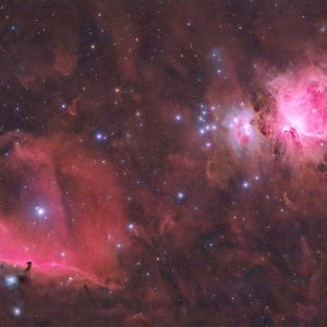 The Great Orion and Horsehead Nebula