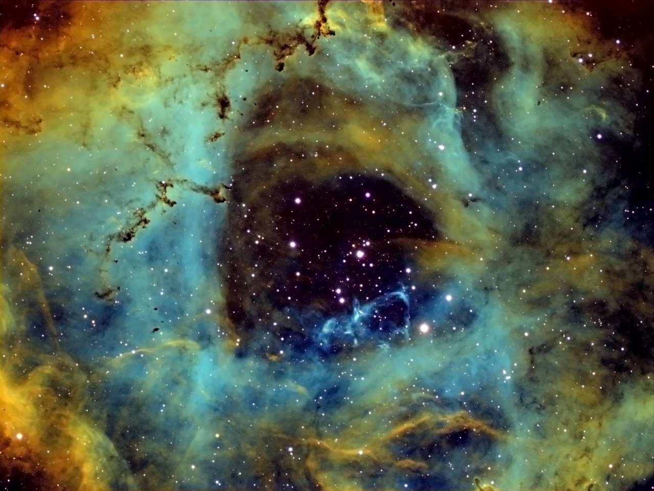 NGC 2237 - Rosette Nebula by Steve Wiencek 