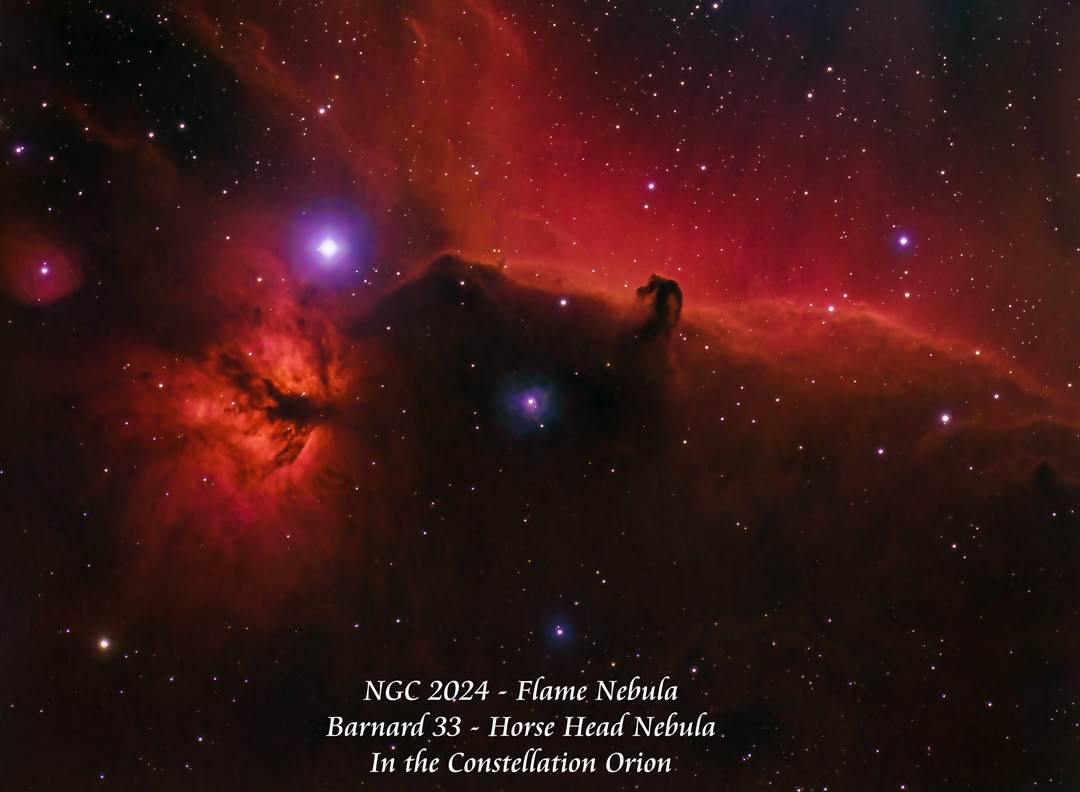 Horsehead & Flame Nebula by Paul Borchardt 