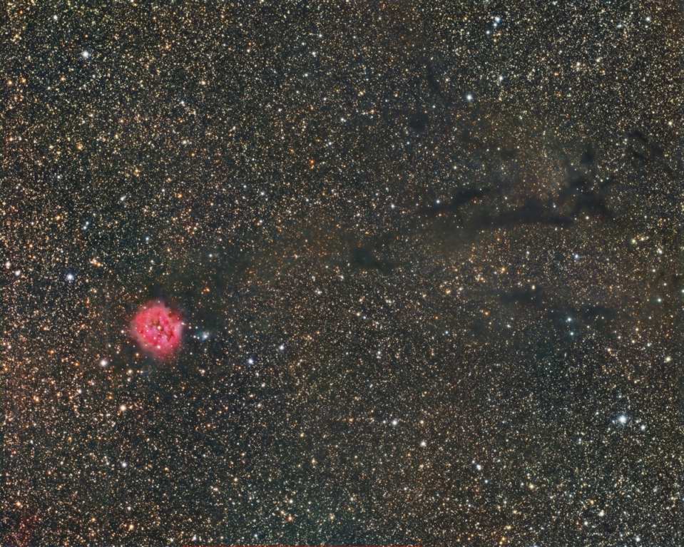 IC 5146 - Cocoon Nebula by Gabe Shaughnessy 