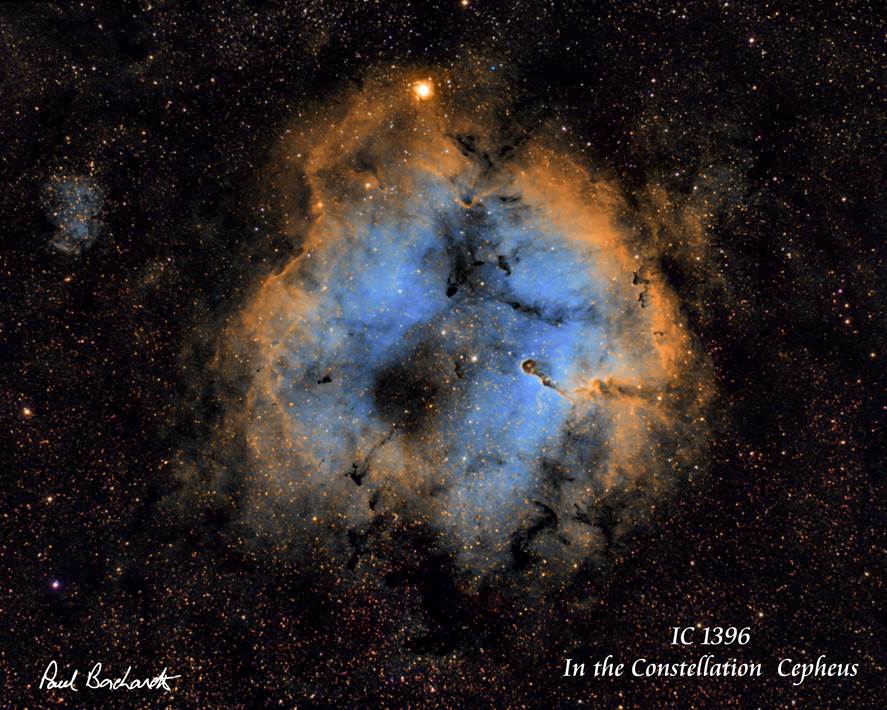 IC 1396 - Elephant's Trunk Nebula   by Paul Borchardt 