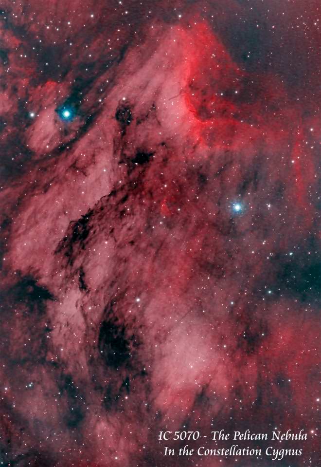 IC 5070 - The 
		Pelican Nebula   by Paul Borchardt 
