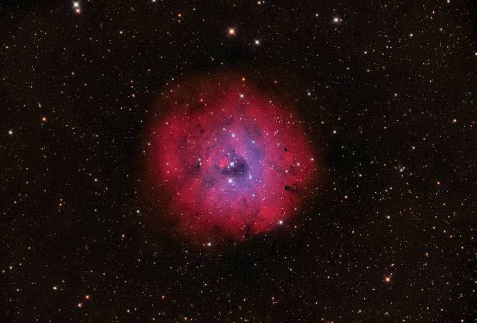 Sharpless 170 
		- Little Rosette Nebula by Chad Andrist 