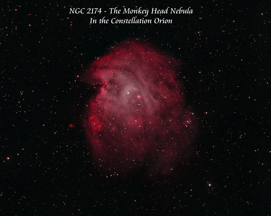 NGC 2174 - Monkey Head Nebula by Paul Borchardt 