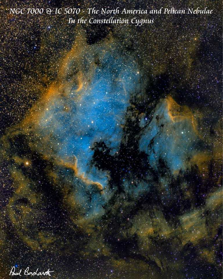 NGC 7000 - North American Nebula / IC 5070 - Pelican   by Paul Borchardt 