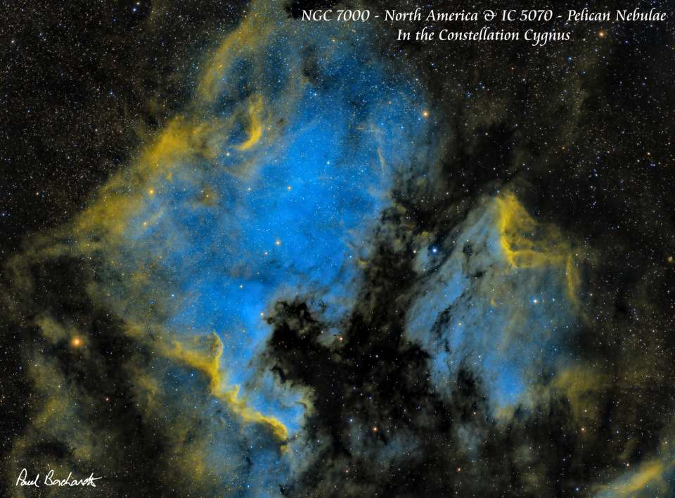 NGC 7000 and IC 5070 - North American / Pelican Nebula