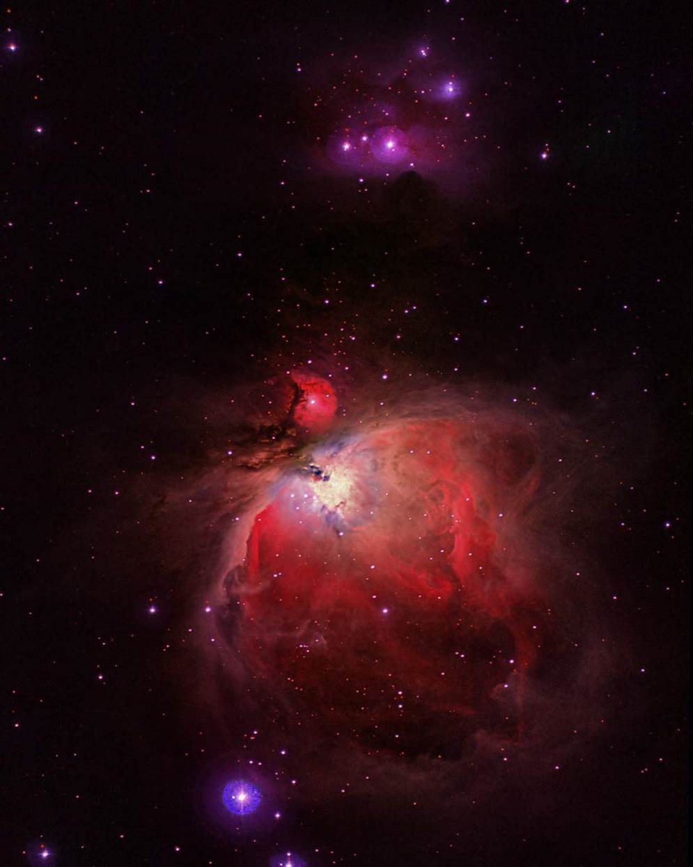 Orion Nebula by Paul Borchardt 