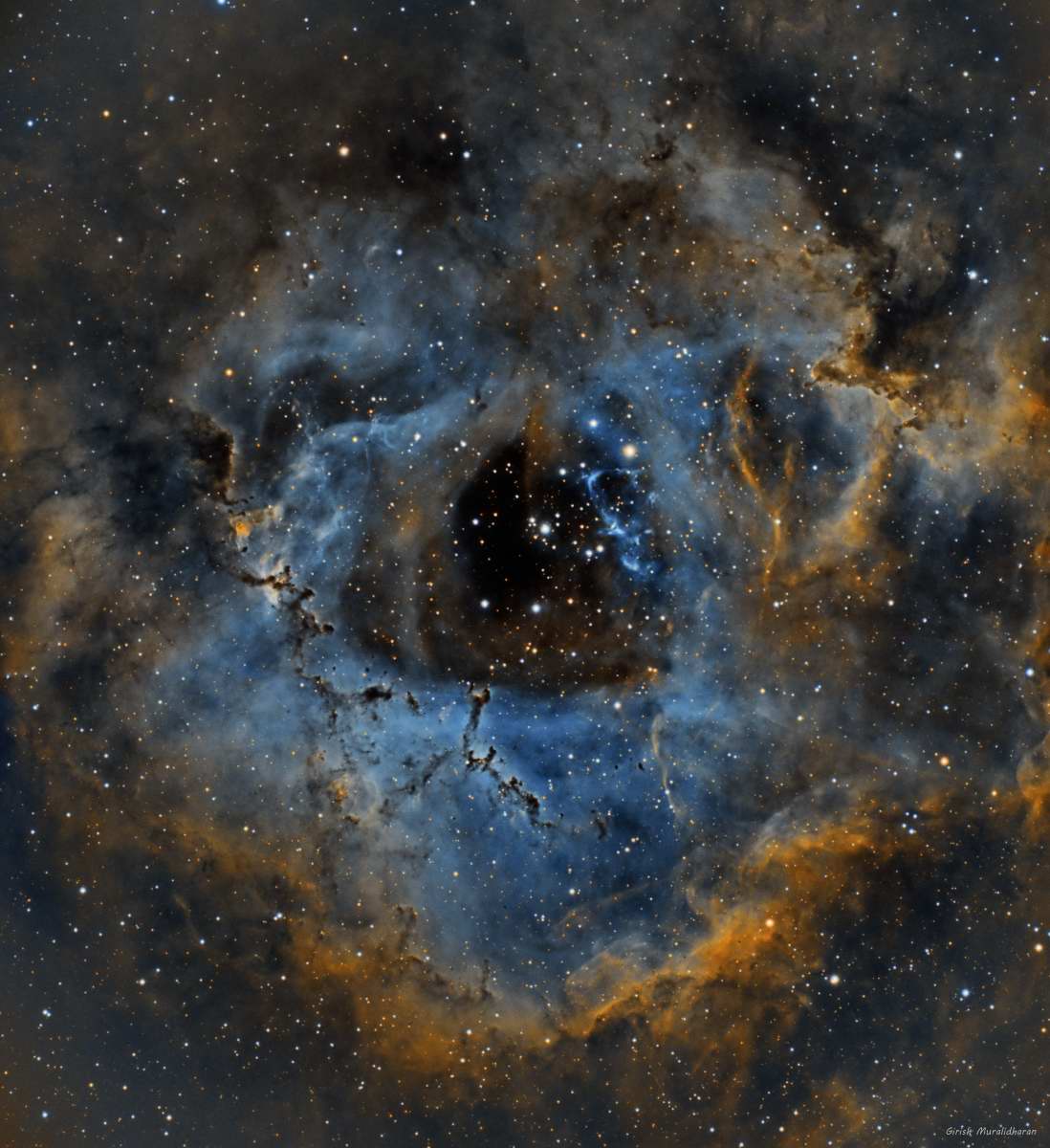 Rosette Nebula by Girish Muralidharan 