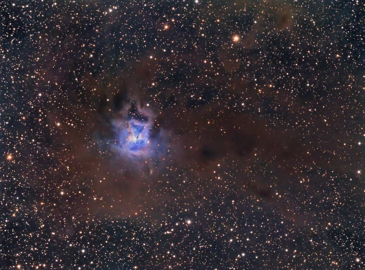 Iris Nebula by Gabe Shaughnessy 