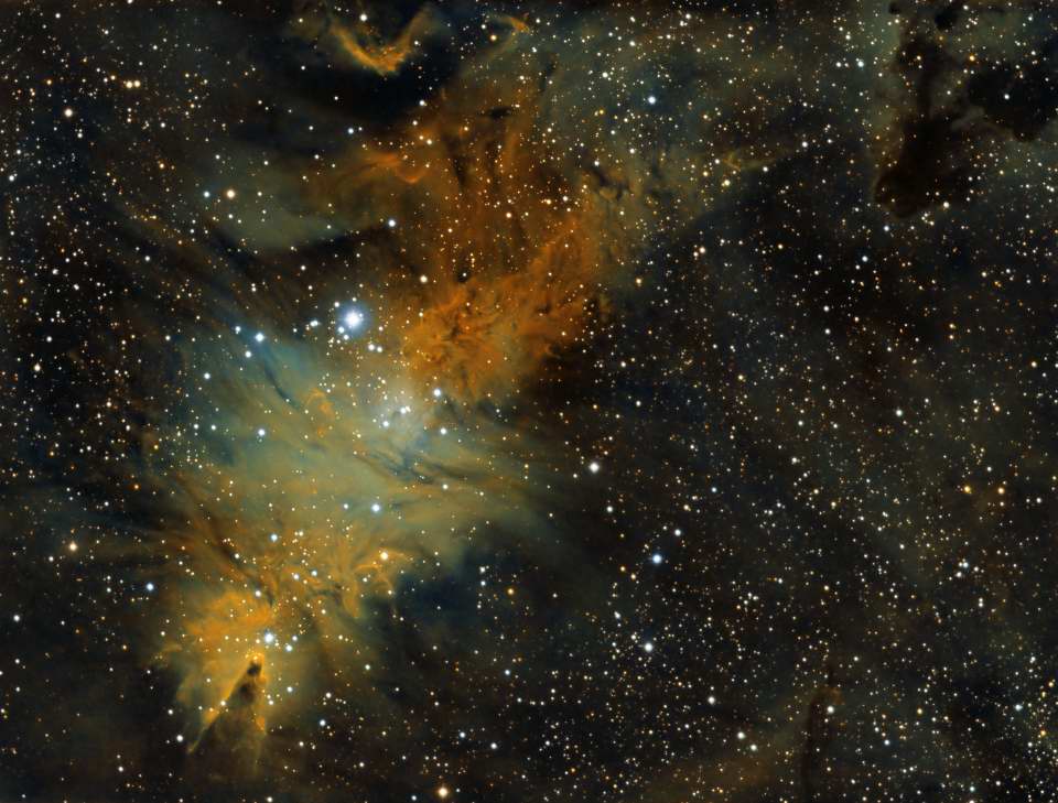 Xmas Tree and Cone Nebula by Dennis Roscoe 