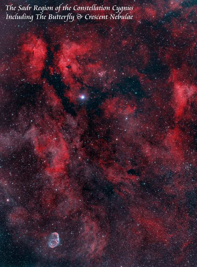 Cygnus Satr Region by Paul Borchardt 