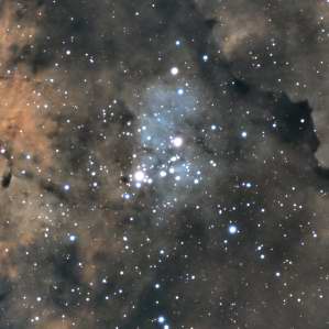 NGC 6910 and Surrounding Clouds of IC 1318 in Cygnus