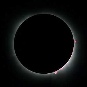 Total Solar Eclipse - Prominences During 3rd Contact
