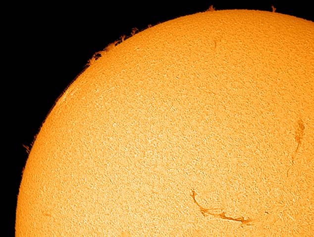 Sun in Ha showing prominences and filaments. MAS image.