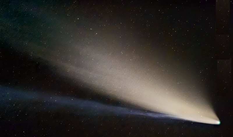 Comet Neowise. MAS image.