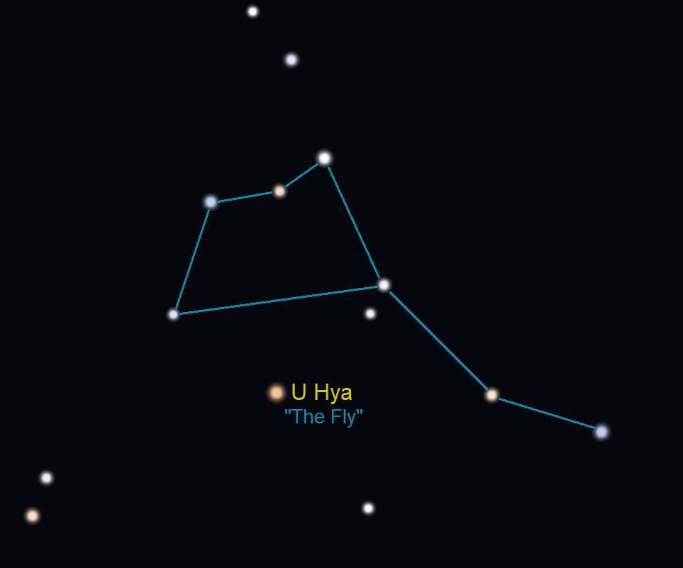 Fly and Fly Swatter asterism with figure lines - Stellarium