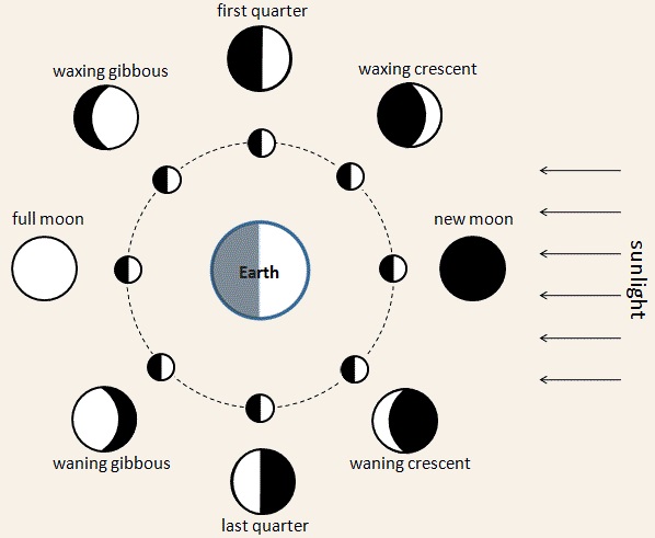 Phases of the moon. Wikipedia Commons. 