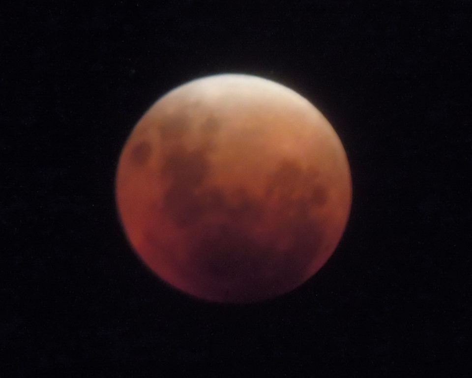 Total 
		Lunar Eclipse by Gene Hanson 