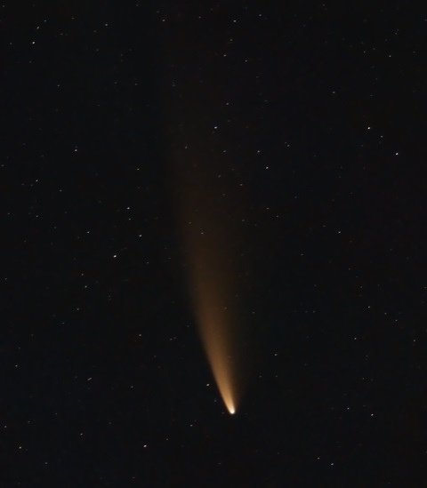 Comet Neowise (C2020 F3) by Gabe Shaughnessy 