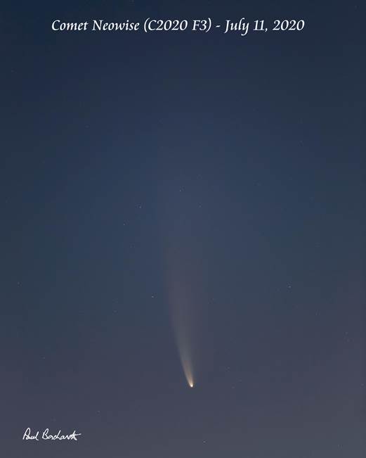 Comet Neowise (C2020 F3) by Paul Borchardt 