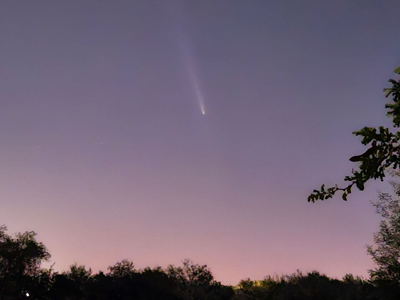 Comet by MAS Member Gene Hanson