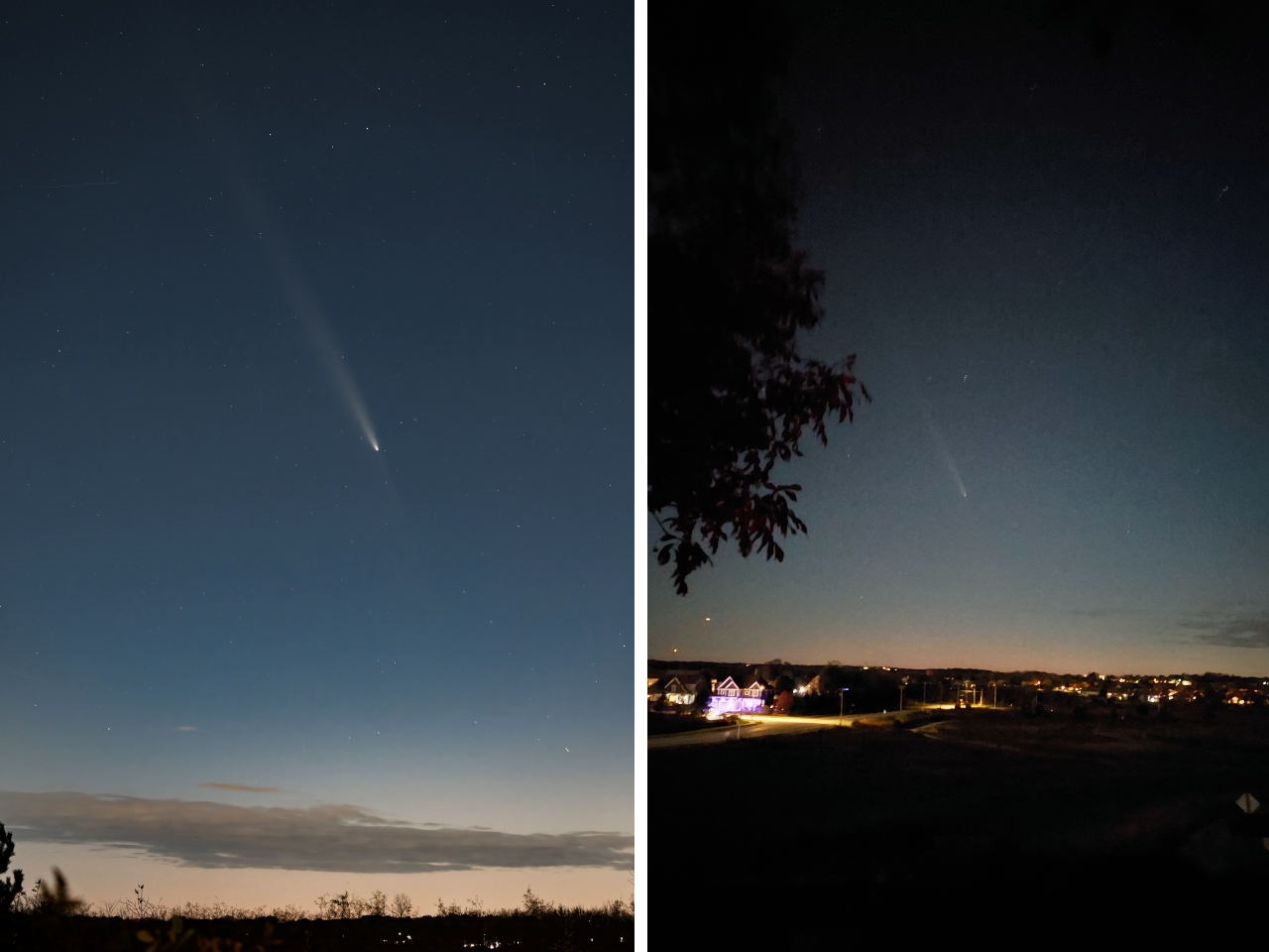 Comet by MAS Members Adrian Knowles and Jeffrey Annis