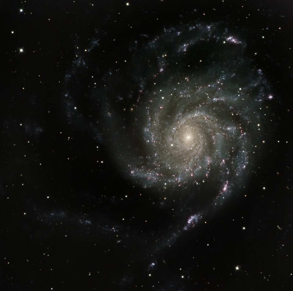M101 - The Pinwheel Galaxy by Dennis Roscoe 
