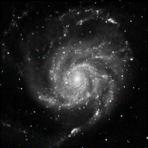 M101 and Supernova SN2023xfi