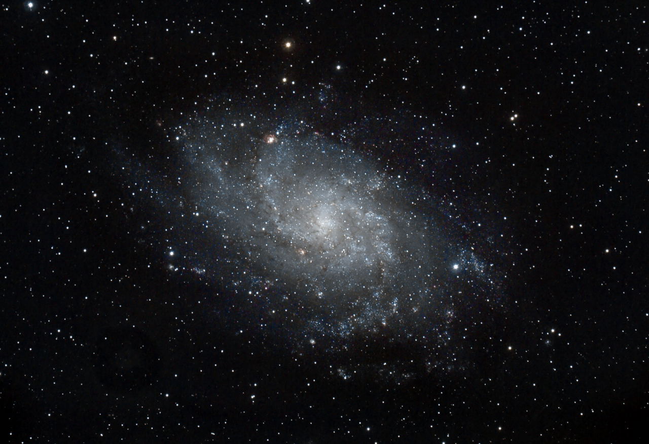 M33 
		- Triangulum Galaxy    by Paul Borchardt 