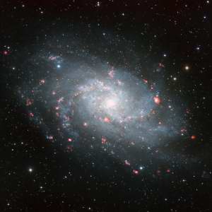 M33 - Triangulum Galaxy by Dennis Roscoe 