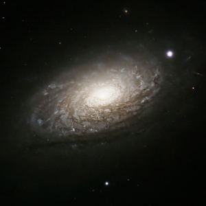 M 63 Sunflower Galaxy by Ron Lundgren 