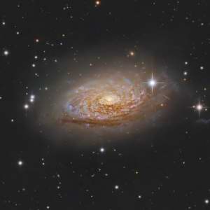 M63 Sunflower Galaxy by Chad Andrist 