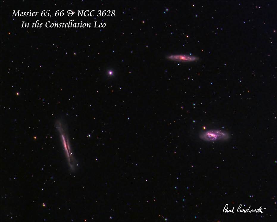 M65, M66, and NGC 3628 by Paul Borchardt 