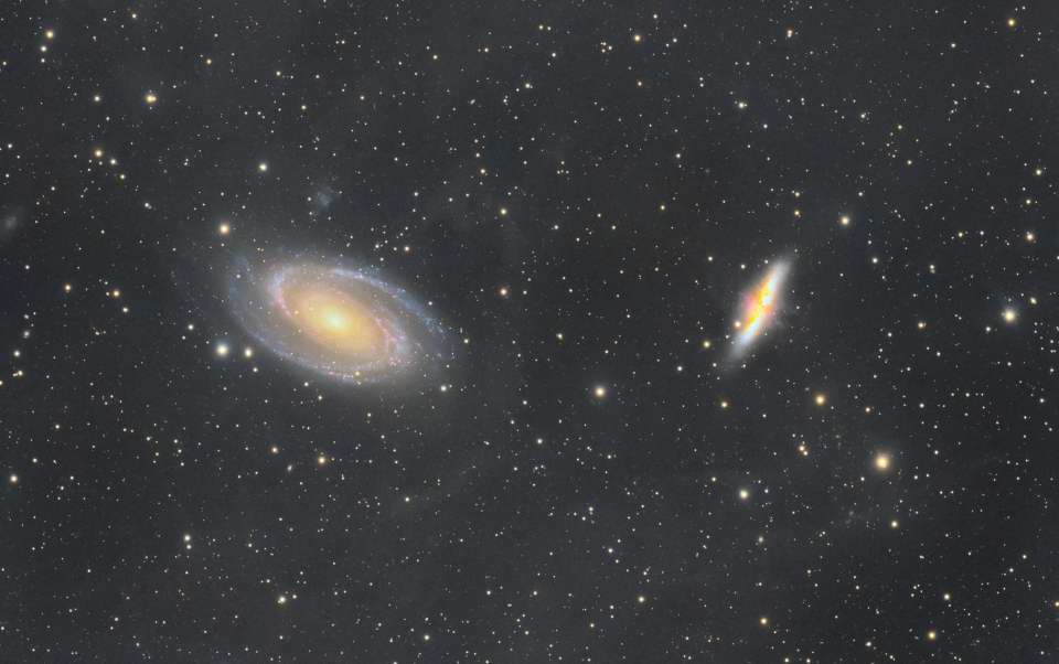 M81, M82, and IFN