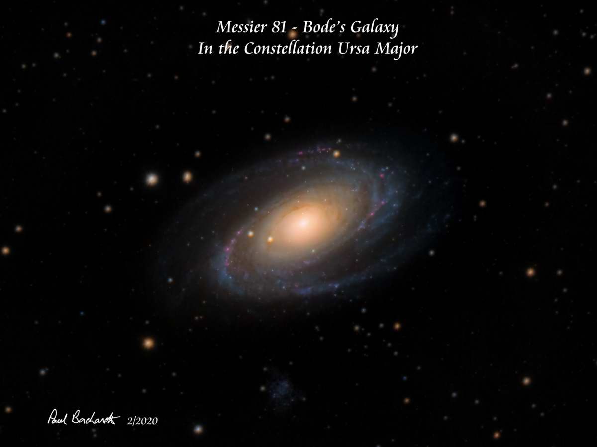 Bode's Galaxy by Paul Borchardt 