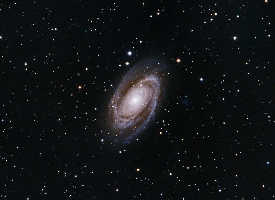M81 - Bode's Galaxy by Dennis Roscoe 