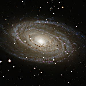 Bode's Galaxy 2024