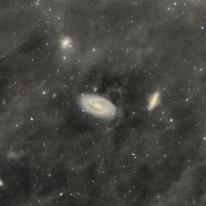 M81 and M82 widefield with IFN