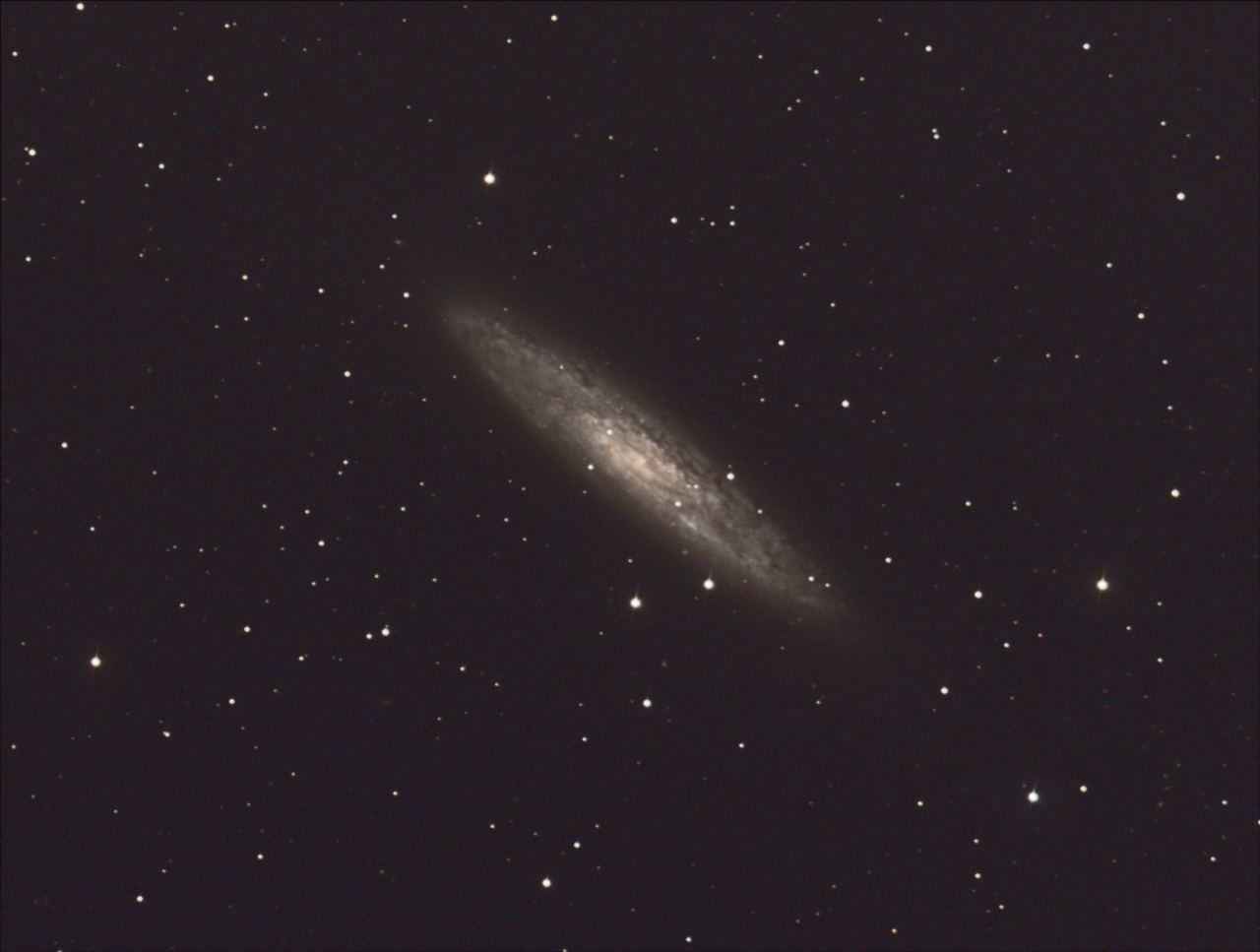 NGC 253 - Sculptor Galaxy</span> by Tom Schmidtkunz 