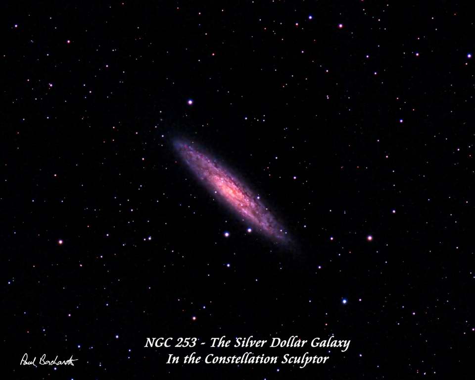 NGC 253 - The Sculptor Galaxy by Paul Borchardt 