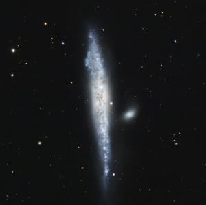 NGC 4631, Whale Galaxy by Ron Lundgren 