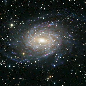 NGC 6744, a galaxy in Pavo by Tom Schmidtkunz 